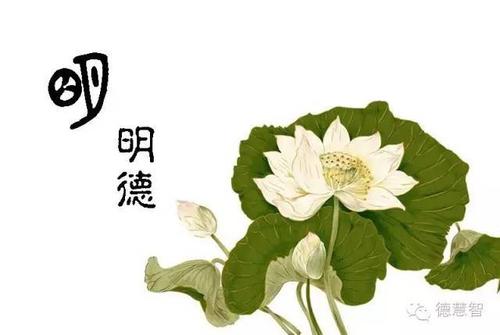 教育是动机而不是灌输