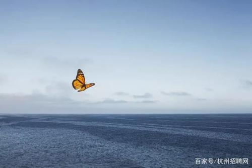 给您的生活一个飞跃的机会