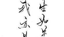 经典语录：人生如逆旅，我亦是行人