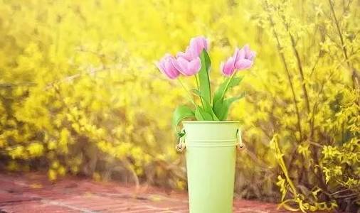 做你自己的上帝，上帝就会给你你梦dream以求的东西