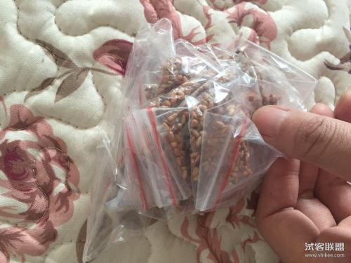 在里面种两粒种子