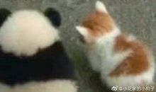 让人豁然开朗的50条人生建议