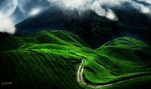 在哪儿用心，就在哪儿收获