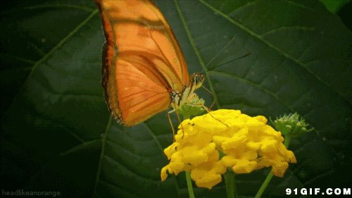 这50句话值得一读100次