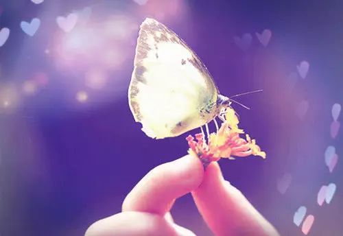 愿你的修养值得美丽