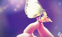 愿你的修养配得上美貌