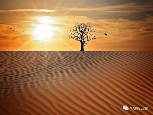 有一种成功叫做速度