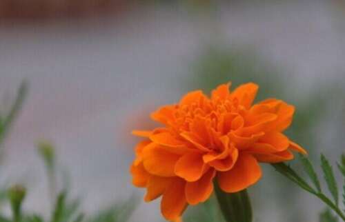 我30岁时还没有成功。将来真的没有机会吗？