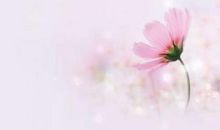 每一位父母必学的父母规