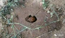 两次梦想破灭之后