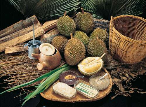 痛苦是生命的移植