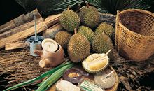 疼痛是生命的嫁接