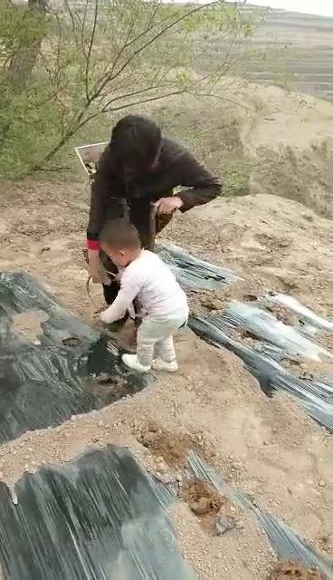 一个真实的故事:贫困家庭的孩子的出路在哪里?