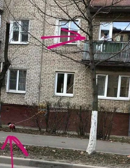 有钱人家有什么向往？