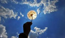 经典语录：遇见总是莫名其妙，离开总是顺其自然