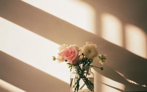 有避免纠缠的能力