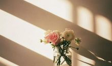 有一种能力，叫遇事不纠结