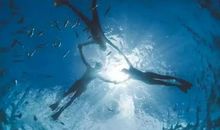 所谓选择困难症，不过是你又懒又贪