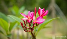 金宝启：输得起是一种锤炼