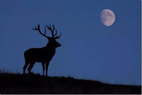 经典语录:如果夜晚太长,让自己成为黎明