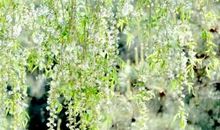 成功人生在忘我