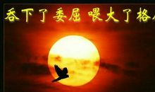 前半生拿得起，后半生放得下