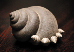 我的网站将做主要演讲