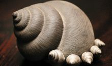 我的地盘我做主演讲稿