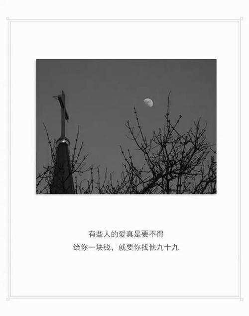 经典语录:您可以在尘埃中爱一个人,但是没人会在尘埃中爱您