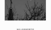 经典语录：你可以爱一个人到尘埃里，但不会有人爱尘埃里的你