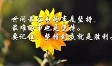 早安心语：只要自己变优秀了，其他的事情自然就会跟着好起来