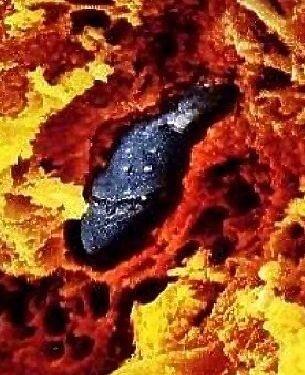 如果只剩下几天