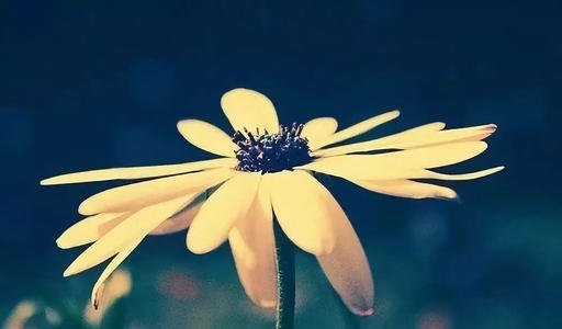 花时间在进度上,而不是抱怨