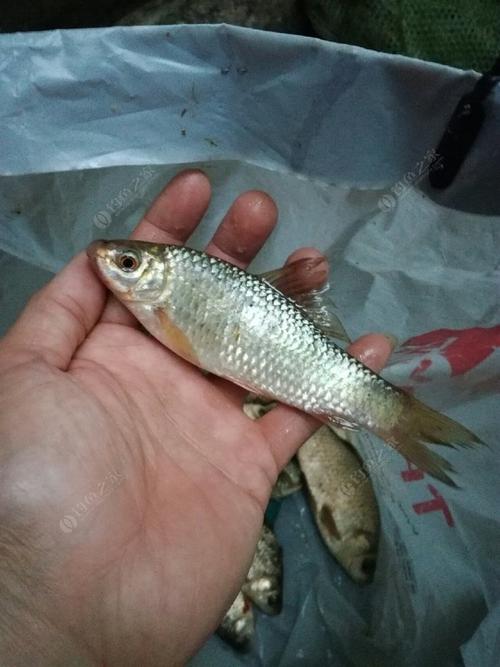 早上5点起床，坚持14年。你的生活会怎样？