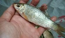 早上5点起床，坚持14年，人生会怎样？