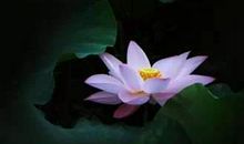 做人如春风，处事如秋风