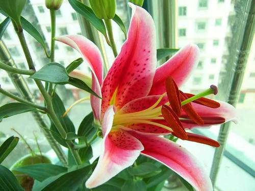 内省每个句子并将其交给困惑的自己