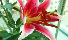 句句自省，送给迷茫的自己