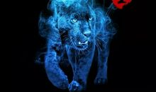 励志名言：从来没有一种坚持会被辜负