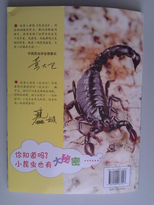 关于阅读“昆虫”的思考