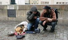 你的修养，就是你孩子的教养