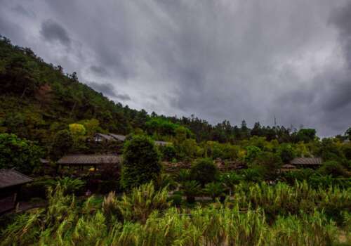 我的岁月是我未完成的路