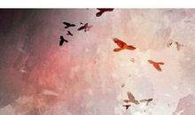 为什么你做不到呢