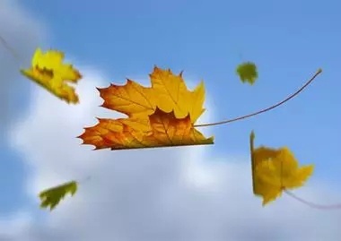 我们需要更加顽强和执着