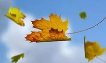 我们需要更加顽强和执著