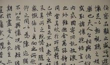 韬光养晦是命运不佳时的最佳选择