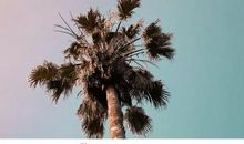 你的言行，藏着灵魂的模样