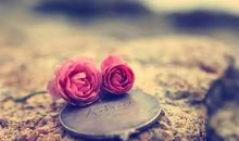 别让自己的生命里留下太多的遗憾