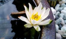 人生最值得珍惜的三样东西