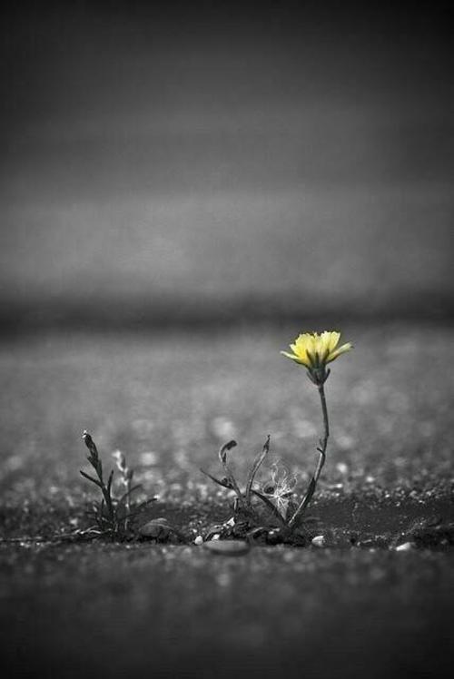 什么才是真正的强项